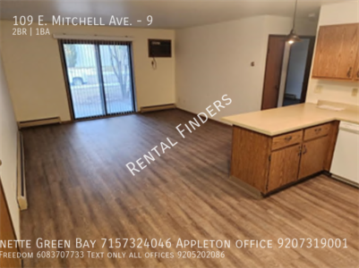 109 E Mitchell Ave in Appleton, WI - Building Photo - Building Photo