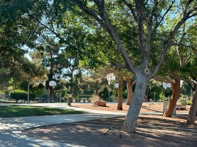 property at 285 Spring Palms St