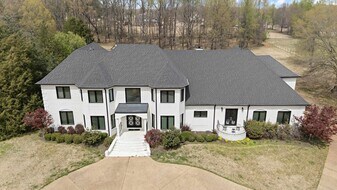 9376 Forest Wind Cove in Collierville, TN - Building Photo
