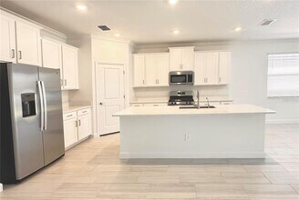17132 Holly Wl Ave in Wimauma, FL - Building Photo - Building Photo