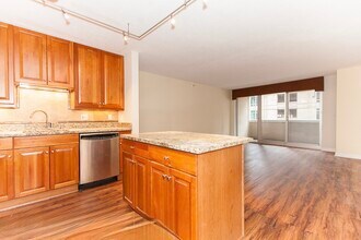 545 N Dearborn St, Unit 902 in Chicago, IL - Building Photo - Building Photo