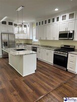 203 S Franklin Dr in Florence, SC - Building Photo