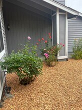 2451 Pinercrest Dr in Santa Rosa, CA - Building Photo - Building Photo