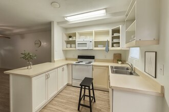 230 Westminster Dr in Tallahassee, FL - Building Photo - Building Photo