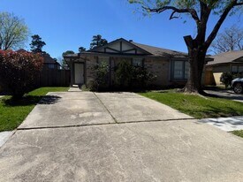 22117 Moss Falls Ln in Spring, TX - Building Photo