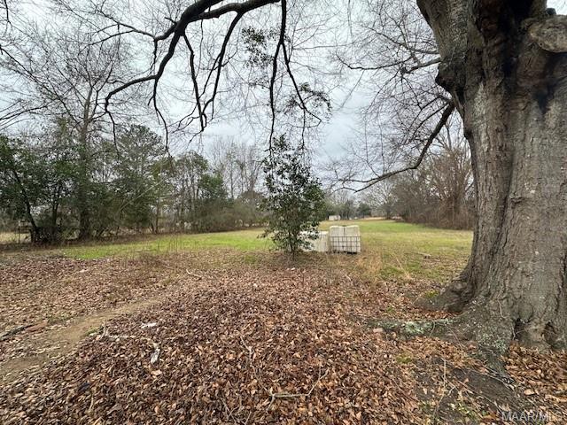 416 St James Church Loop in Pike Road, AL - Building Photo - Building Photo