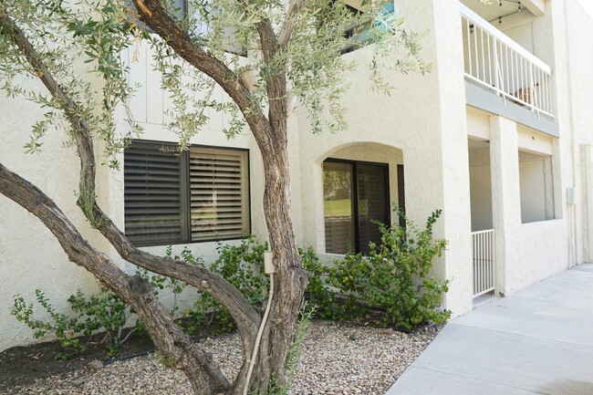 353 E Via Escuela in Palm Springs, CA - Building Photo - Building Photo