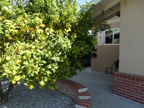 974 Rose Ave in Redwood City, CA - Building Photo - Building Photo