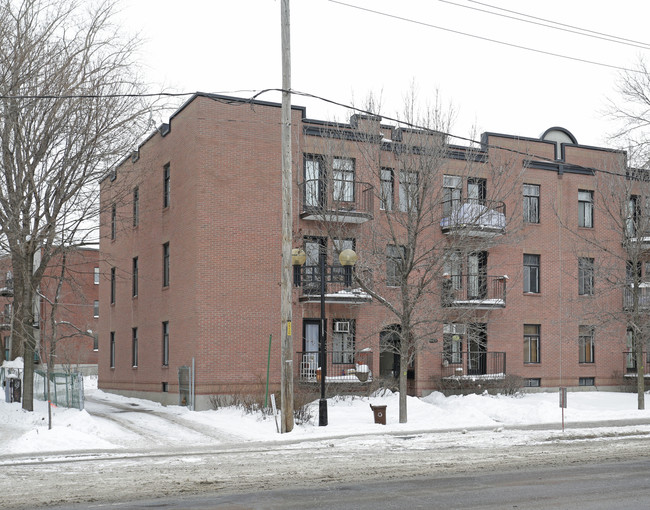 3509 Rachel Rue E in Montréal, QC - Building Photo - Primary Photo