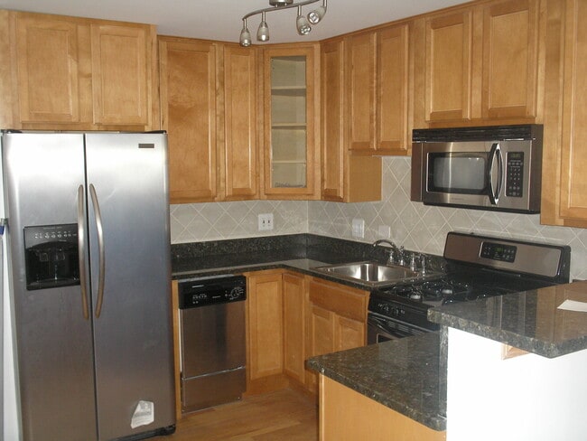 313 Elgin Ave, Unit 1 in Forest Park, IL - Building Photo - Building Photo