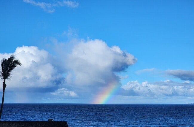 property at 1367 Kakae Pl