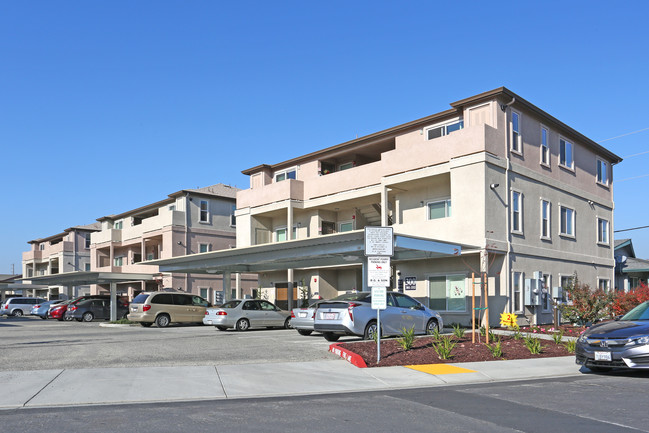 Vista Verda Apartments - Phase II in Manteca, CA - Building Photo - Building Photo