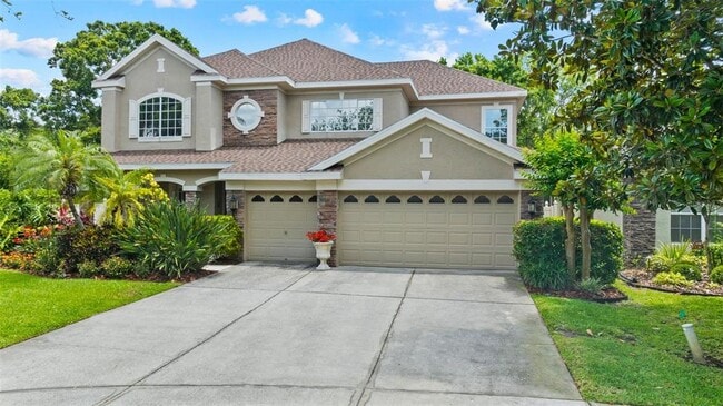 11615 Renaissance View Ct in Tampa, FL - Building Photo - Building Photo