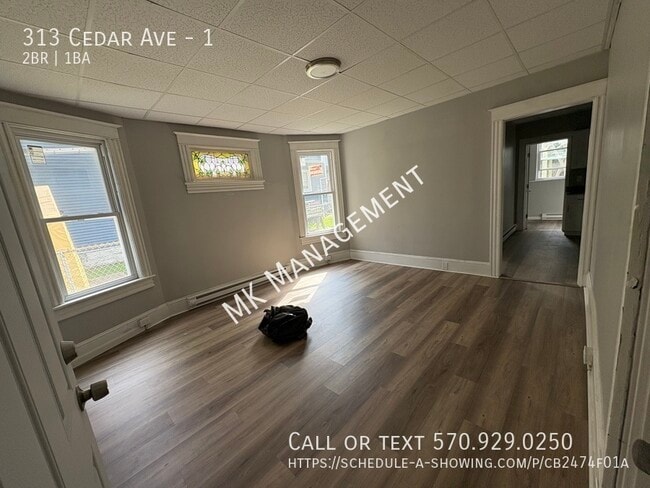 313 Cedar Ave in Scranton, PA - Building Photo - Building Photo