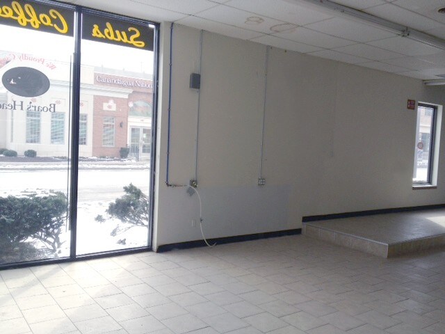 215 Alexander St in Rochester, NY - Building Photo - Building Photo