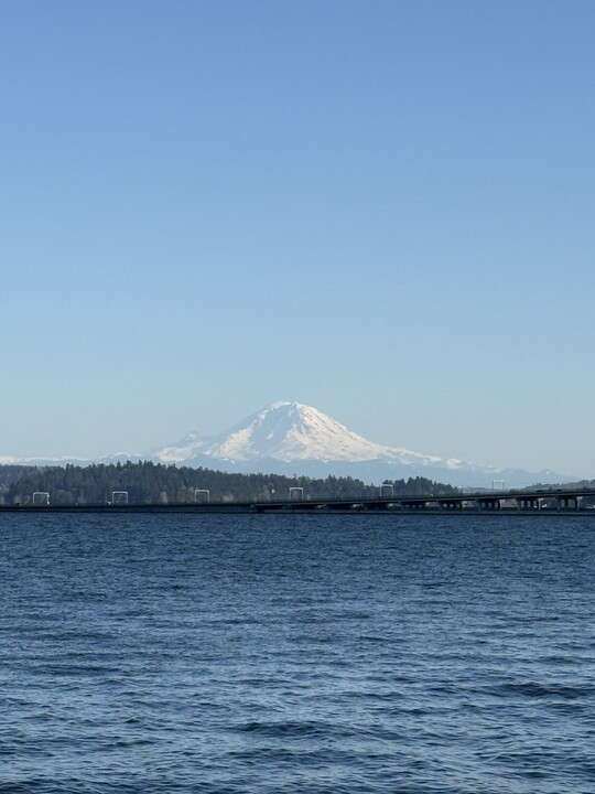334 Lakeside Ave S, Unit 405 in Seattle, WA - Building Photo