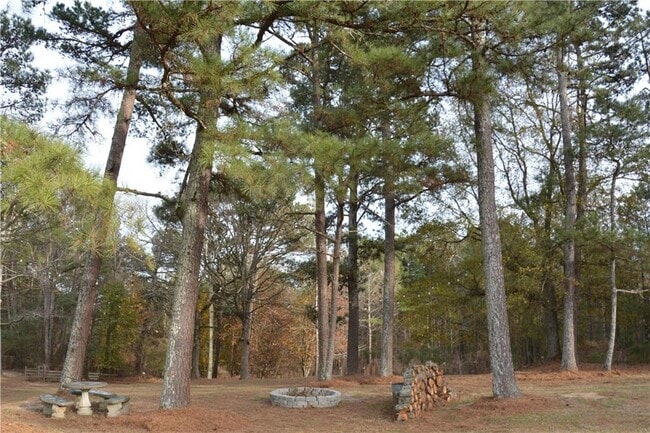1745 Mineral Springs Rd in Hoschton, GA - Building Photo - Building Photo