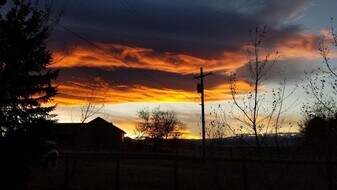 11869 Jade St in Lafayette, CO - Building Photo