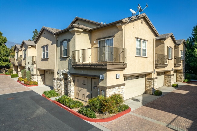 Brighton at Terra Vista
