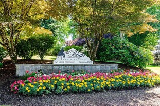 The Bluffs at Mountain Park Apartments