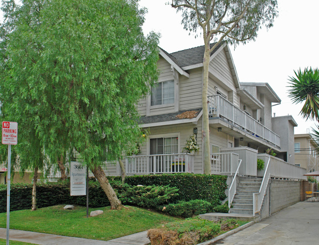 3661 Dunn Dr in Los Angeles, CA - Foto de edificio - Building Photo