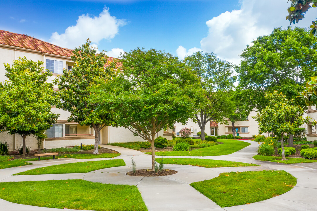 Somerset Apartments in Antioch, CA - Building Photo