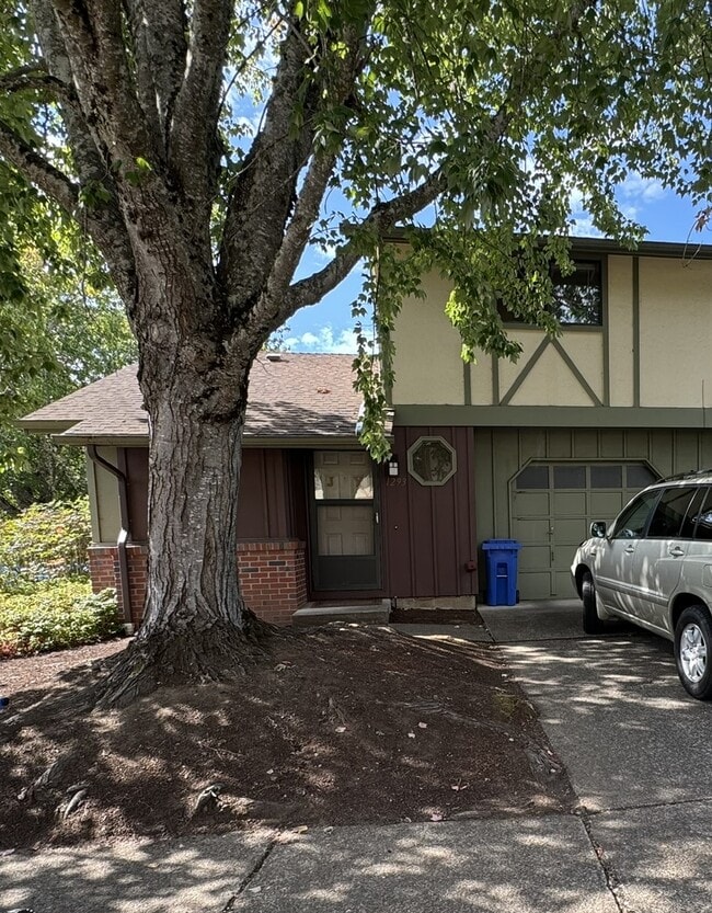 property at 1293 City View St