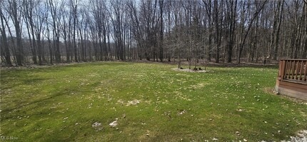 17820 Brittany Woods Dr in Chagrin Falls, OH - Building Photo - Building Photo