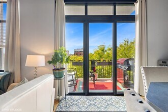 811 W 15th Pl in Chicago, IL - Building Photo - Building Photo