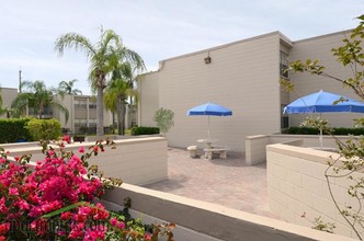 Harold Square in Hollywood, FL - Foto de edificio - Building Photo