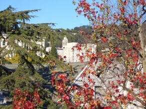 2232 Blake Street in Berkeley, CA - Building Photo - Interior Photo