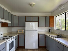 15-1553-1553 24th Ave in Keaau, HI - Building Photo