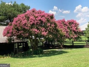 3781 Happy Valley Cir in Newnan, GA - Building Photo - Building Photo