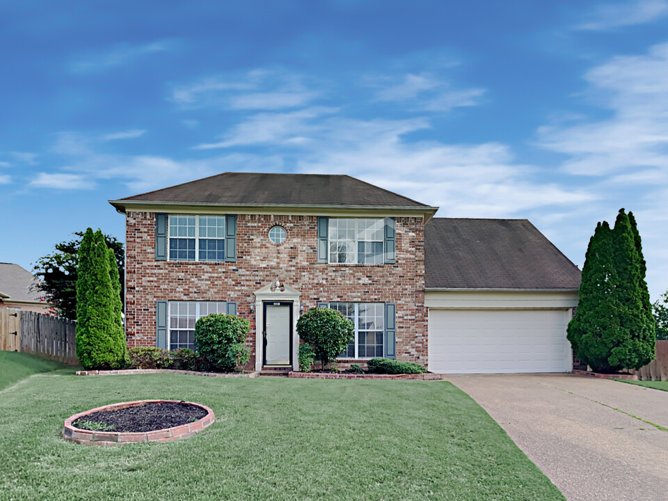 9891 Greenalder Cv S in Cordova, TN - Building Photo