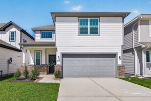 15610 Coneflower Hls Dr in Houston, TX - Building Photo