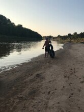 4411 County Rd 127 in Whitesboro, TX - Building Photo - Building Photo