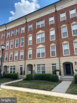 8049 Crescent Park Dr in Gainesville, VA - Building Photo