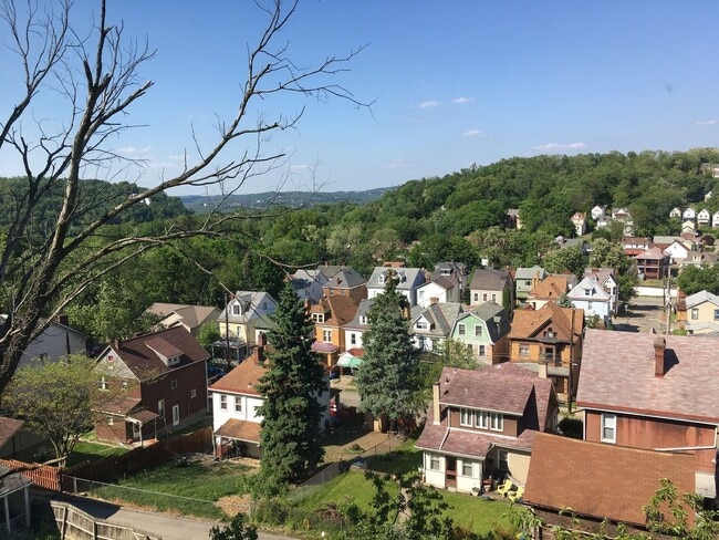 1108 Oswin St in Pittsburgh, PA - Foto de edificio - Building Photo