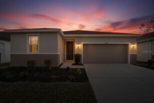 11528 Southern Creek Dr in Gibsonton, FL - Building Photo