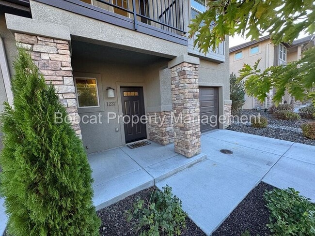 1237 Correlli Ct in Carson City, NV - Building Photo - Building Photo