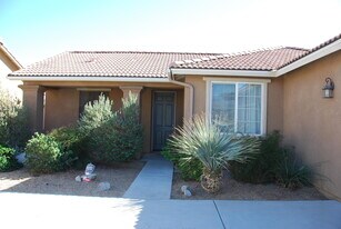 11412 Bald Eagle Ln in Desert Hot Springs, CA - Building Photo