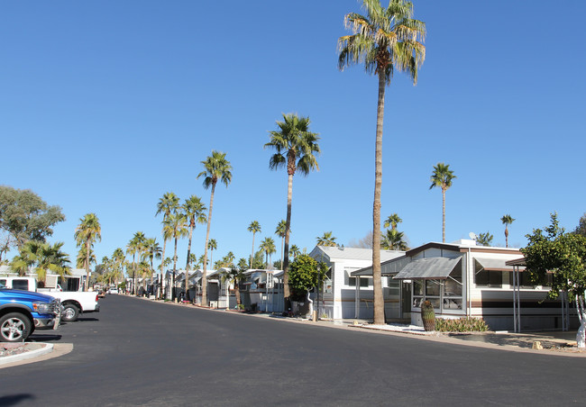 Springhaven RV Resorts in Mesa, AZ - Foto de edificio - Building Photo