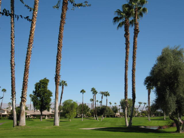 144 Las Lomas in Palm Desert, CA - Foto de edificio - Building Photo