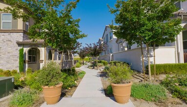 7084 Vernazza Pl in Eastvale, CA - Building Photo - Building Photo