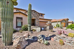 36269 W Cartegna Ln in Maricopa, AZ - Building Photo