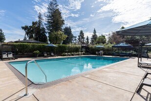 Sofi Fremont in Fremont, CA - Building Photo