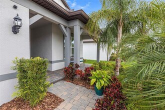 20718 Monza Loop in Land O Lakes, FL - Building Photo - Building Photo
