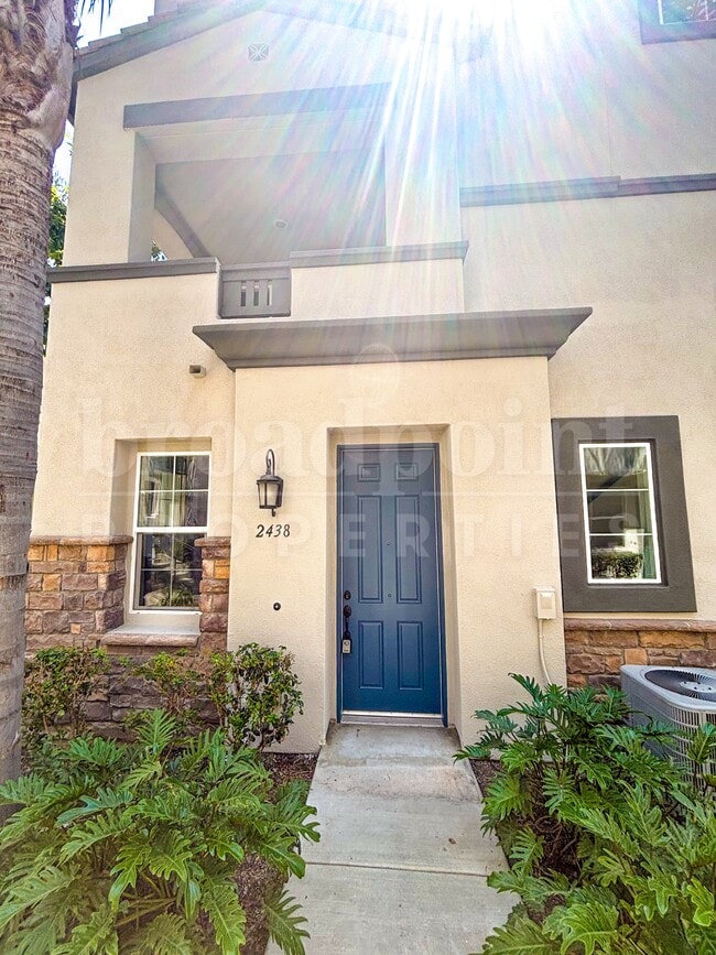 2438 Sentinel Ln in San Marcos, CA - Building Photo - Building Photo
