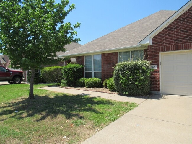property at 703 Crownpoint Ln