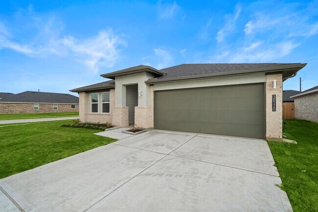 30110 Reagans Rnch Dr in Katy, TX - Building Photo - Building Photo